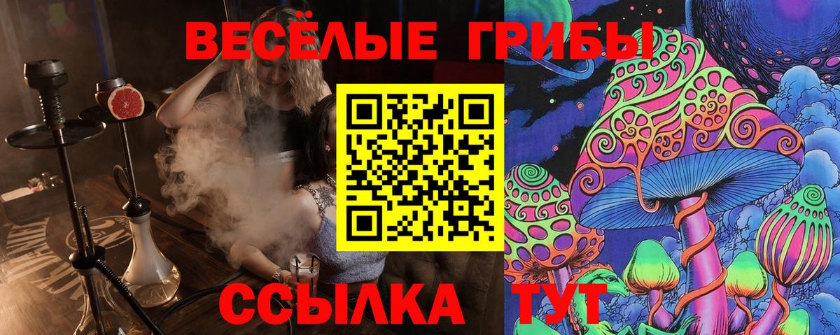 Псилоцибиновые грибы мухоморы Елец